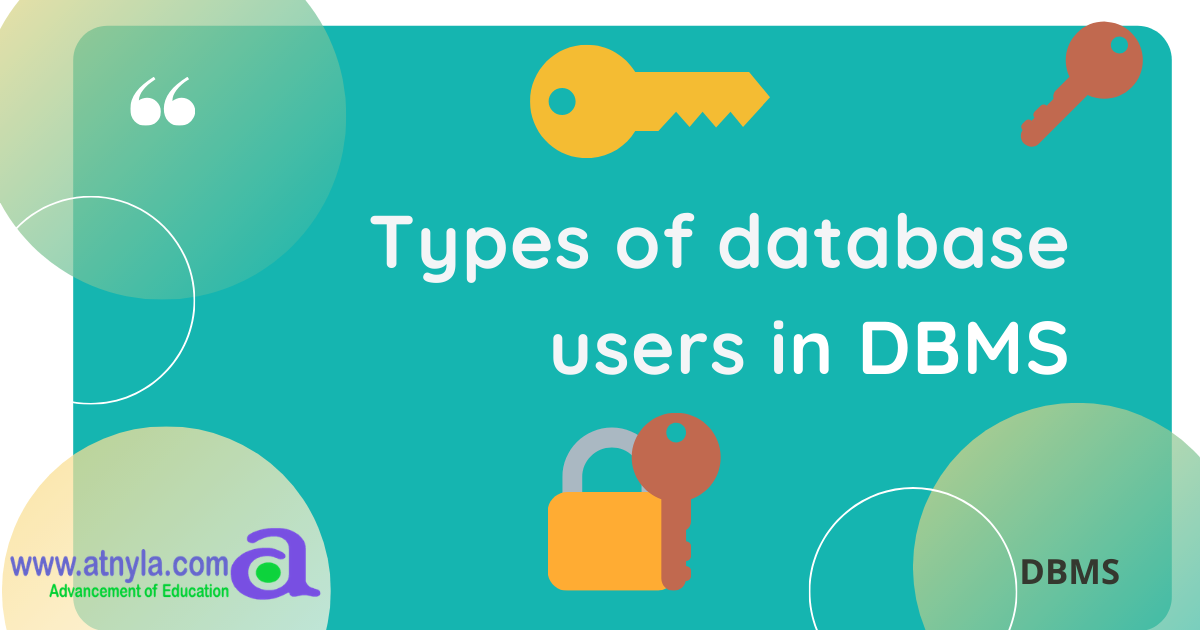 what are the different types of database users